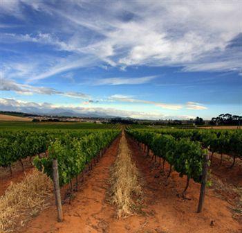 Hotel Meerendal Boutique Durbanville